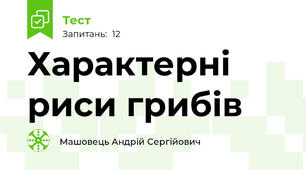 Характерні риси грибів