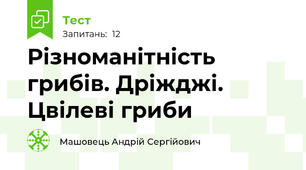 Різноманітність грибів. Дріжджі. Цвілеві гриби