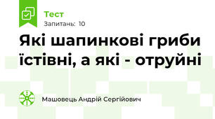 Які шапинкові гриби їстівні, а які - отруйні