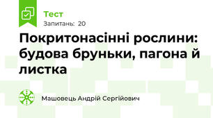 Покритонасінні рослини: будова бруньки, пагона й листка