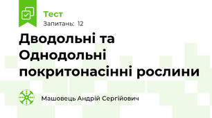 Дводольні та Однодольні покритонасінні рослини