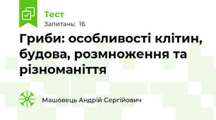 Гриби: особливості клітин, будова, розмноження та різноманіття