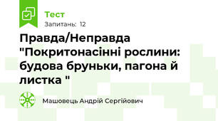 Правда/Неправда "Покритонасінні рослини: будова бруньки, пагона й листка "