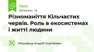Різноманіття Кільчастих червів. Роль в екосистемах і житті людини