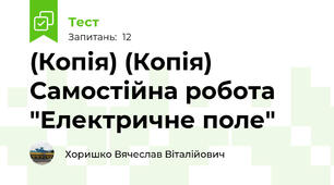 (Копія) (Копія) Самостійна робота "Електричне поле"