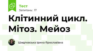 Клітинний цикл. Мітоз. Мейоз