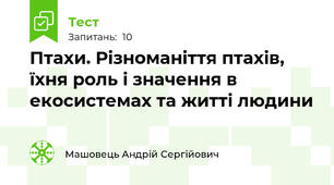 Птахи. Різноманіття птахів, їхня роль і значення в екосистемах та житті людини 