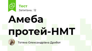 Амеба протей-НМТ
