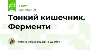 Тонкий кишечник. Ферменти
