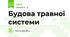 Будова травної системи