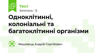 Одноклітинні, колоніальні та багатоклітинні організми