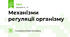 Механізми регуляції організму