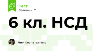 6 кл. НСД