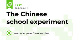 The Chinese school experiment 