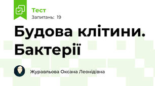 Будова клітини. Бактерії
