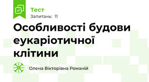 Особливості будови еукаріотичної клітини