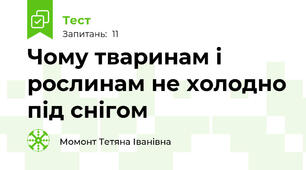 Чому тваринам і рослинам не холодно під снігом