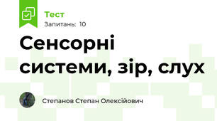Сенсорні системи, зір, слух