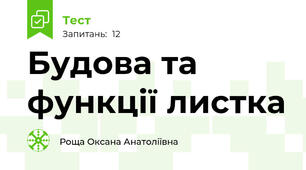 Будова та функції листка