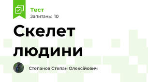 Скелет людини