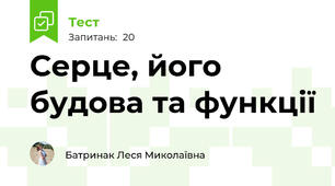 Серце, його будова та функції
