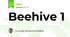 Beehive 1