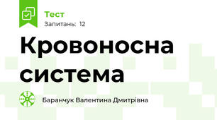 Кровоносна система