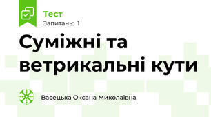 Суміжні та ветрикальні кути