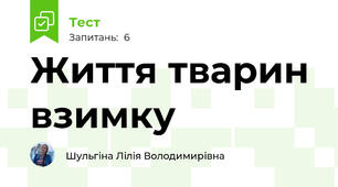 Життя тварин  взимку