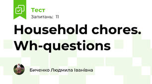 Household chores. Wh-questions