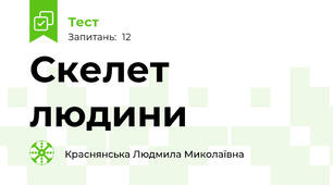Скелет людини