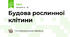 Будова рослинної клітини