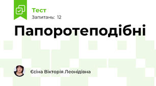Папоротеподібні