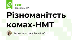 Різноманітсть комах-НМТ