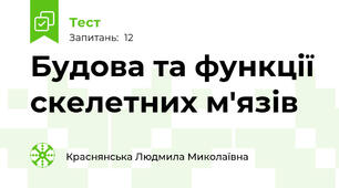Будова та функції скелетних м'язів