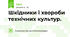 Шкідники і хвороби технічних культур.