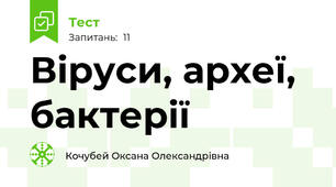 Віруси, археї, бактерії