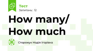 How many/ How much