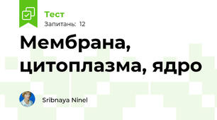Мембрана, цитоплазма, ядро