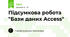 Підсумкова робота "Бази даних Access" 