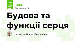 Будова та функції серця