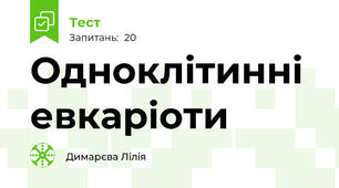 Одноклітинні евкаріоти 