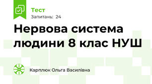 Нервова система людини 8 клас НУШ