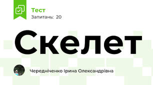 Скелет