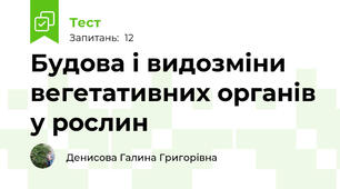 Будова і видозміни вегетативних органів у рослин