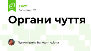 Органи чуття