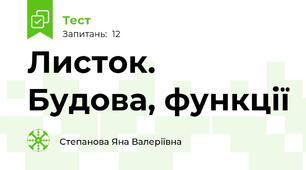 Листок. Будова, функції