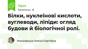 Білки, нуклеїнові кислоти, вуглеводи, ліпіди: огляд будови й біологічної ролі.