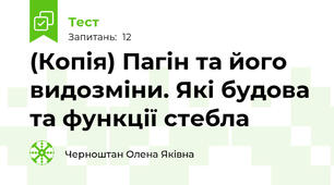 (Копія) Пагін та його видозміни. Які будова та функції стебла
