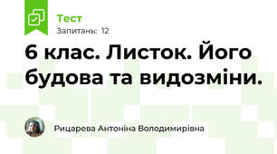 6 клас. Листок. Його будова та видозміни.